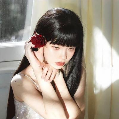 29片棕榈叶