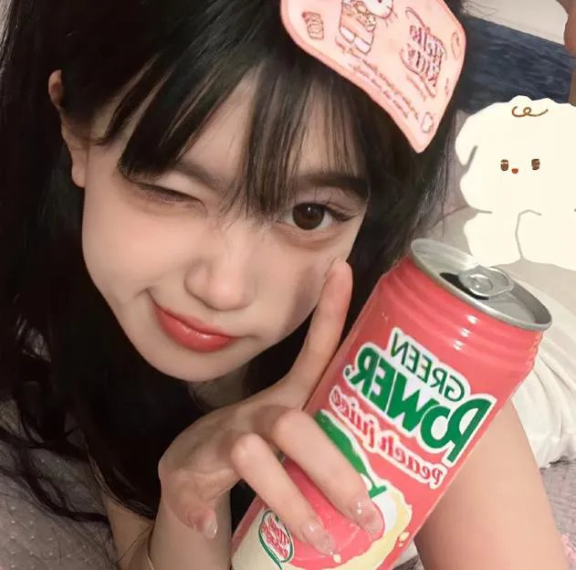 南拳北腿粤语