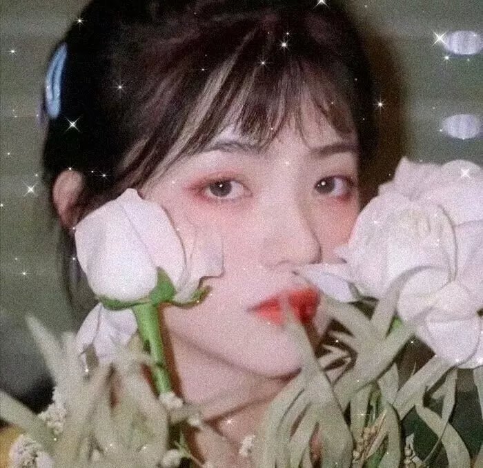 舞乐传奇